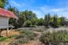 21 Borrow Street, Freeling, SA 5372-Image