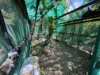 21 Bourke Street, Blacks Beach, Qld 4740-Image