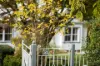 21 Caber Street, Moss Vale, NSW 2577-Image