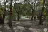 21 Charles Scorer Court, Magpie, Vic 3352-Image