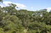 21 Clair Crescent, Padstow Heights, NSW 2211-Image