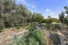 21 Colemans Road, Goombungee, Qld 4354-Image