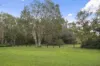 21 Cougal Circuit, Caloundra West, Qld 4551-Image