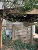 21 Cowslip Street, Violet Town, Vic 3669-Image