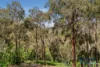 21 Croyden Road, Roleystone, WA 6111-Image