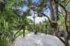 21 Dauphin Terrace, Highgate Hill, Qld 4101-Image