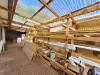 21 Denison Street, Queenstown, Tas 7467-Image