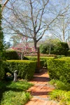 21 Dirrawan Gardens, Reid, ACT 2612-Image