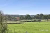 21 Donkey Gully Road, Campbells Creek, Vic 3451-Image