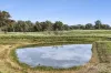 21 Donkey Gully Road, Campbells Creek, Vic 3451-Image