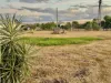 21 Earl Street, Jondaryan, Qld 4403-Image