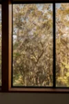 21 Edward Parade, Wentworth Falls, NSW 2782-Image