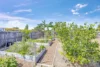 21 Firefly Street, Bargara, Qld 4670-Image