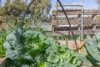 21 Fitzgerald Terrace, West Toodyay, WA 6566-Image