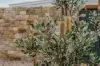 21 Flinders Drive, Streaky Bay, SA 5680-Image