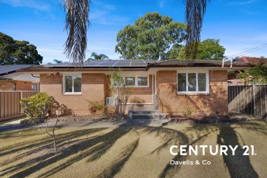 21 Freeman Street, Lalor Park, NSW 2147