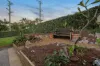 21 Glenmorgan Street, Keperra, Qld 4054-Image