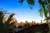 21 Halland Terrace, Camp Hill, Qld 4152-Image