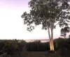 21 Hawthornden, Russell Island, Qld 4184-Image