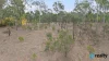 21 Hines Road, Wondai, Qld 4606-Image