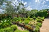 21 Hodge Street, Beechworth, Vic 3747-Image