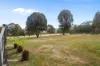 21 Huon View Road, Lower Longley, Tas 7109-Image