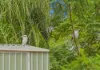 21 Jeanette Avenue, Springwood, Qld 4127-Image
