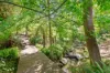 21 Jeffery Street, Blackburn, Vic 3130-Image