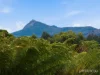21 Kallista Road, Maydena, Tas 7140-Image