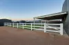 21 Kari Drive, Gol Gol, NSW 2738-Image