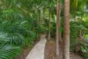 21 Kimberley Court, Doonan, Qld 4562-Image