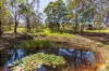 21 Komirra Dr, Eden, NSW 2551-Image