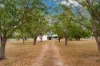 21 Landers Avenue, Rangewood, Qld 4817