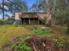 21 Lawley Crescent, South Hobart, Tas 7004-Image