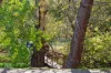 21 Lowan Avenue, Glenalta, SA 5052-Image