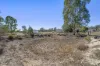 21 MacIntyre Street, Leyburn, Qld 4365-Image