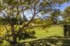 21 Medindie Court, Bli Bli, Qld 4560-Image