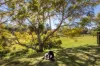 21 Medindie Court, Bli Bli, Qld 4560-Image