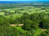 21 Midgen Flat Road, Newrybar, NSW 2479-Image