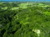 21 Midgen Flat Road, Newrybar, NSW 2479-Image
