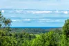 21 Midgen Flat Road, Newrybar, NSW 2479-Image