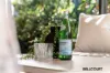 21 Mudlark Close, Langford, WA 6147-Image