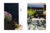 21 Nethercote Street, Mollymook, NSW 2539-Image