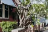 21 Norfolk Avenue, Islington, NSW 2296-Image