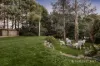 21 Old Hereford Road, Mount Evelyn, Vic 3796-Image