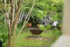 21 Park Street, Millthorpe, NSW 2798-Image