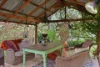 21 Park Street, Millthorpe, NSW 2798-Image