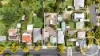 21 Park Street, Orange, NSW 2800-Image