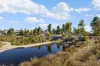 21 Parnatti Street, Lightsview, SA 5085-Image