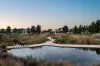 21 Parnatti Street, Lightsview, SA 5085-Image